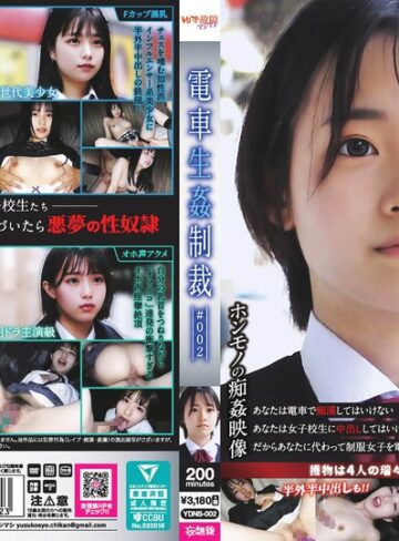 ❤電車生姦制裁 ＃002｜美少女 評価4.00